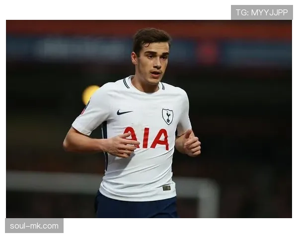 霍伊别尔中场价值凸显，防守覆盖与组织调度表现稳健